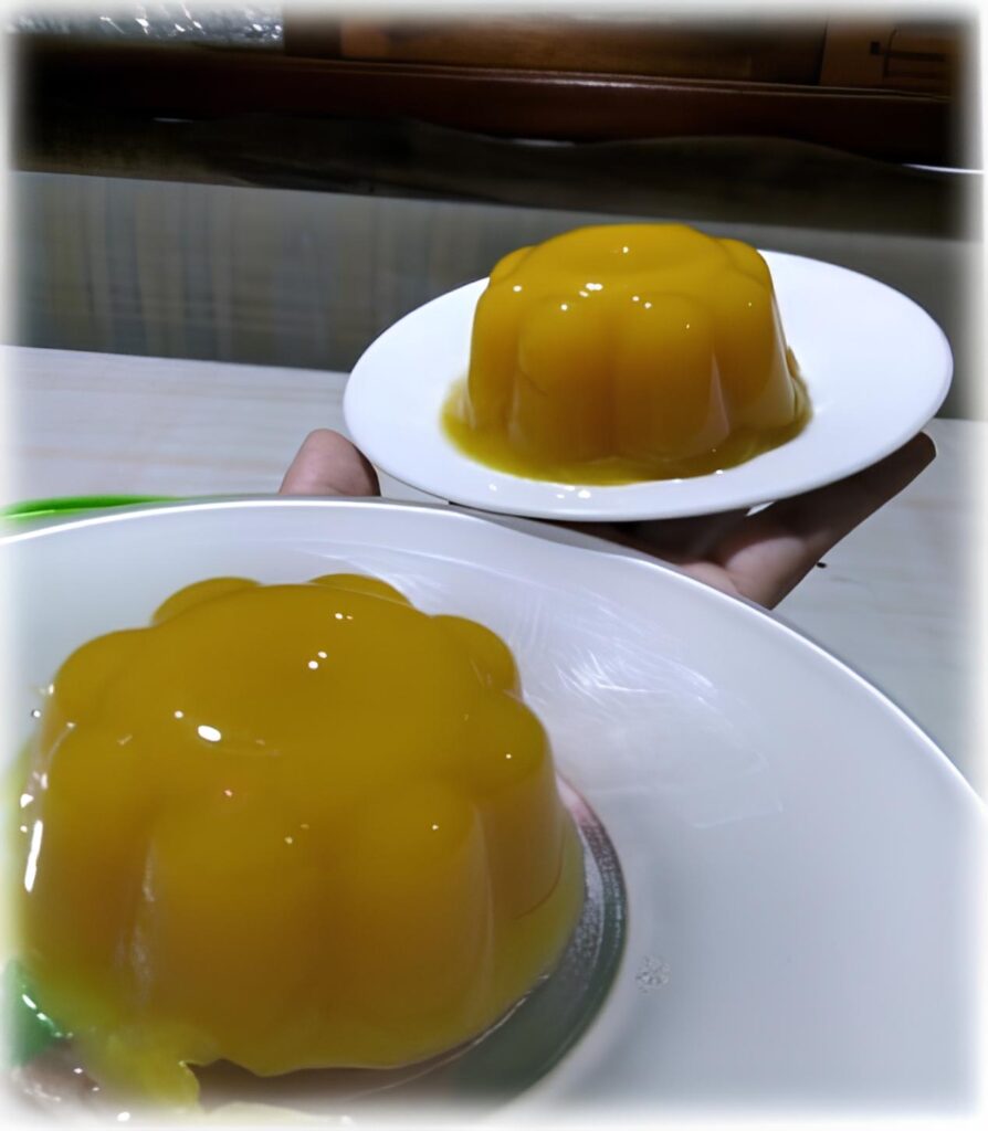 Gelatina de Agar-Agar